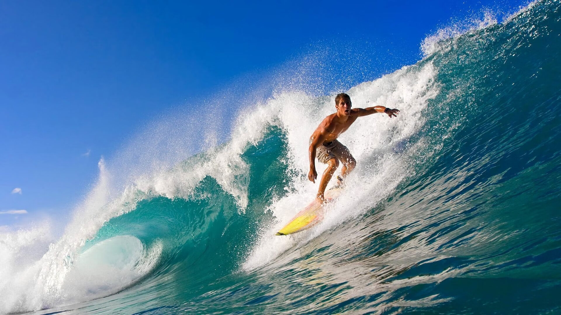 KAIYUN 中国大陆-WCBA季后赛广东女篮力克四川问鼎冠军，广东女篮比赛视频